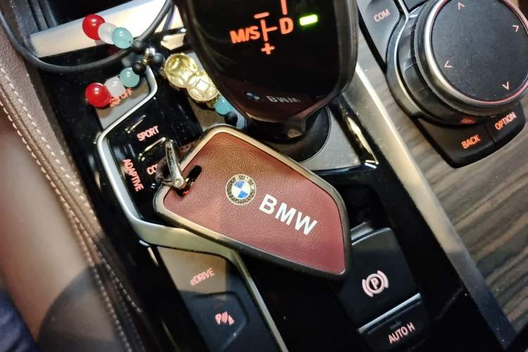 Used BMW 5 Series New Energy 2019 530Le Luxury Package