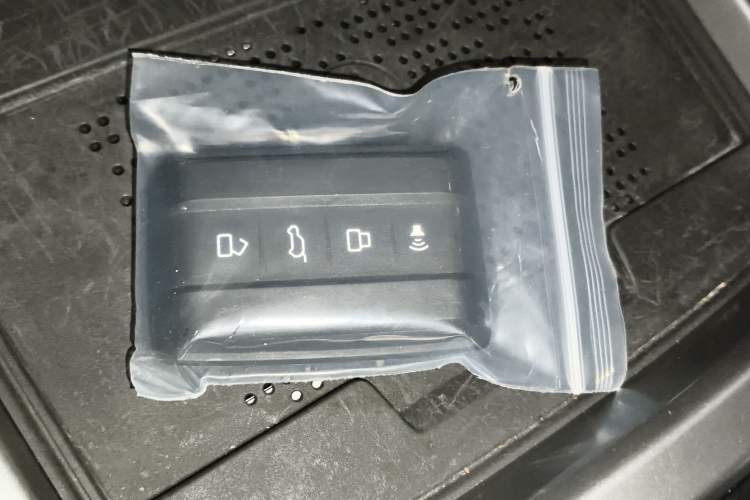 Used Tank 300 2024 2.0T Conqueror