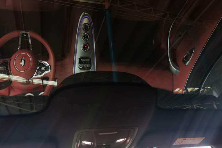 Used ORA Lightning Cat 2022 555 km Luxury Edition
