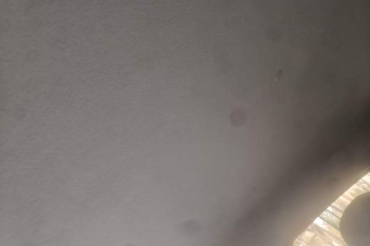 Used Oshan Benni E-Star 2020 Heart Edition Lithium Iron Phosphate (31.95 kWh)