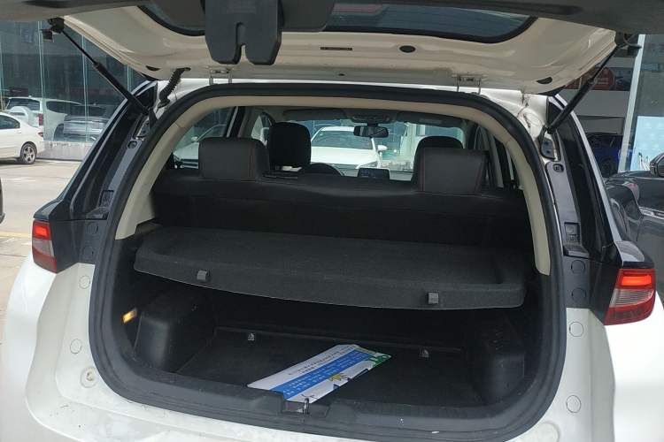 Used Dayun Yuehu 2021 32.85 kWh Two-Wheel-Drive Sprite Version