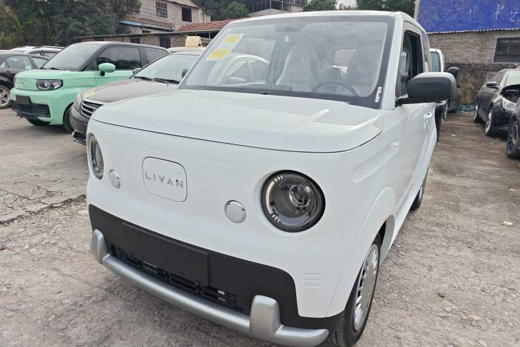 Used Livan Blue Balloon 2025 Model Dynamic Version