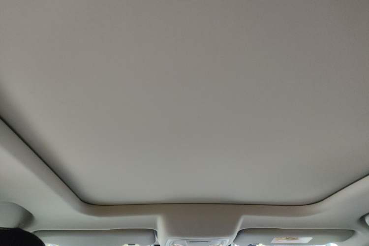 Used Haval DARGO 2022 2.0T DCT All-Wheel-Drive Xiaotianque Version Headliner