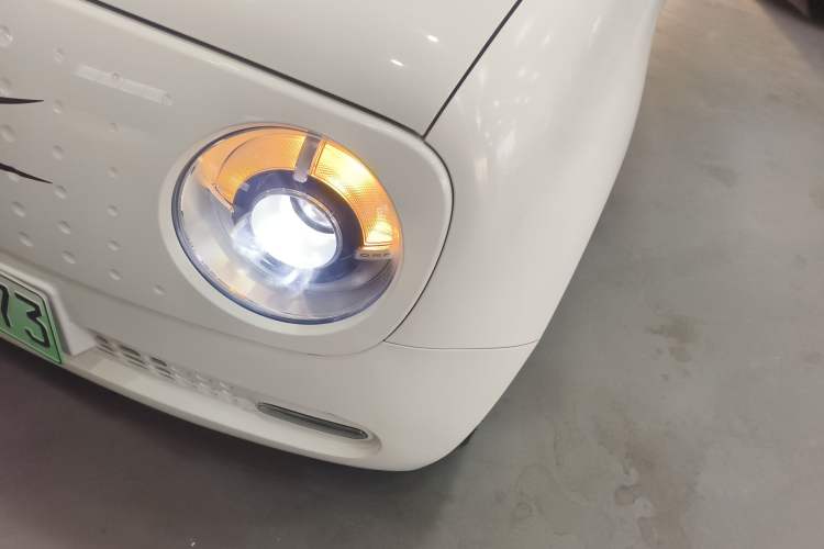 Used ORA Black Cat 2021 351 km Luxury Version
