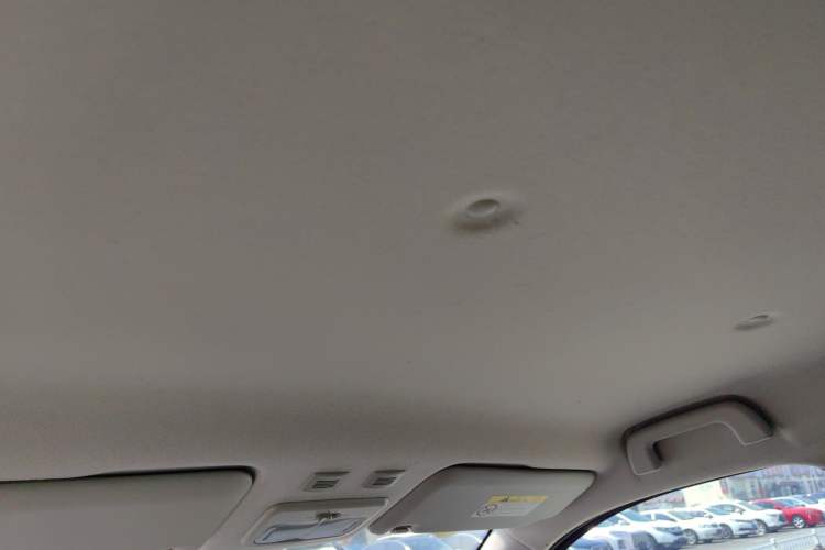 Used ORA Black Cat 2021 351 km Standard Version
