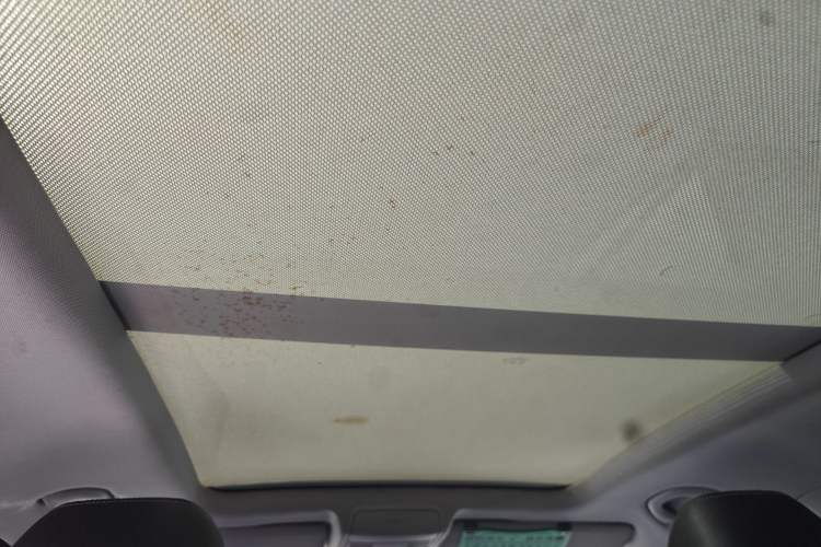 Used Volkswagen Tiguan 2016 300TSI Automatic All-Wheel Drive Fashion Vision Edition Headliner