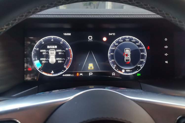 Used Tank 300 2022 2.0T Border Limited Edition