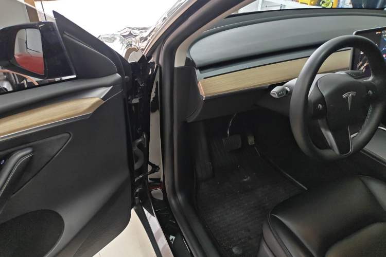 Used Tesla Model Y 2021 Standard Range Rear-Wheel Drive Version
