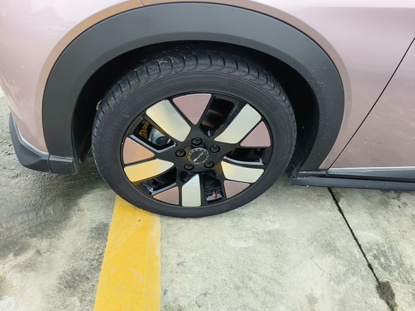 BYD Dolphin 2021 401km Knight Edition — снимка 10