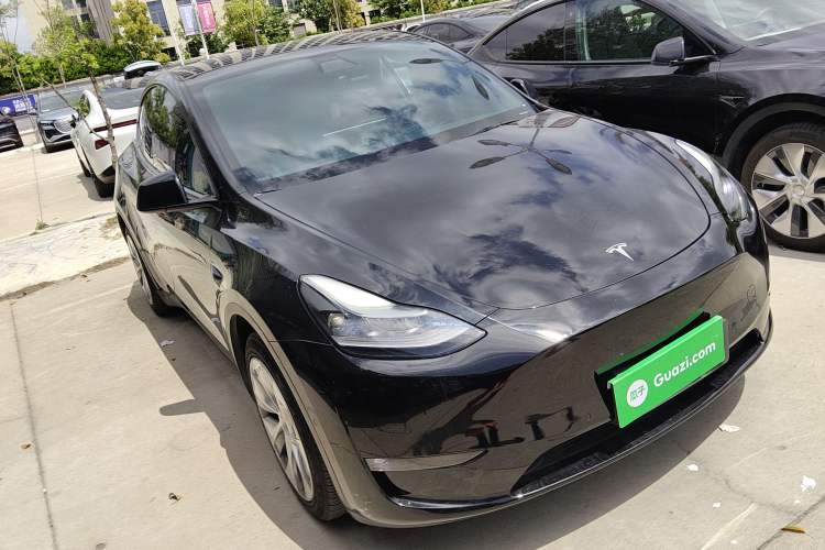 Used Tesla Model Y 2021 Standard Range Rear-Wheel Drive Version
