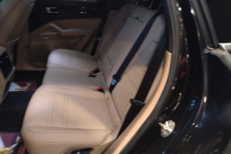 Used Porsche Cayenne E-Hybrid 2022 Cayenne E-Hybrid 2.0T Platinum Edition Left Rear Seat