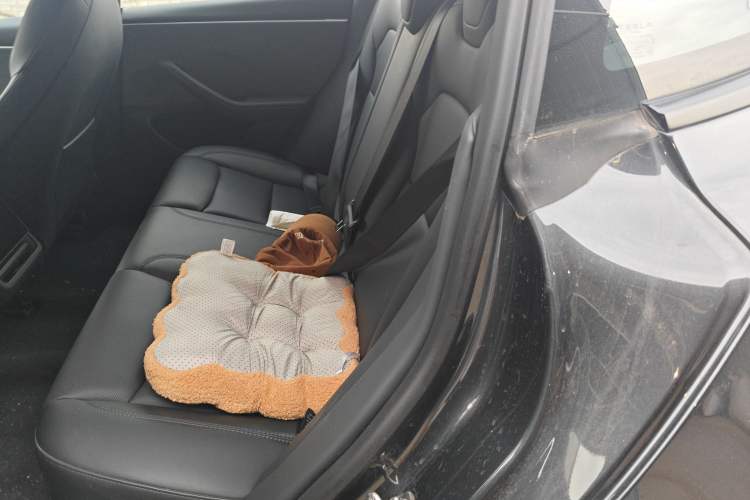 Used Tesla Model 3 2023 Rear-Wheel-Drive Version