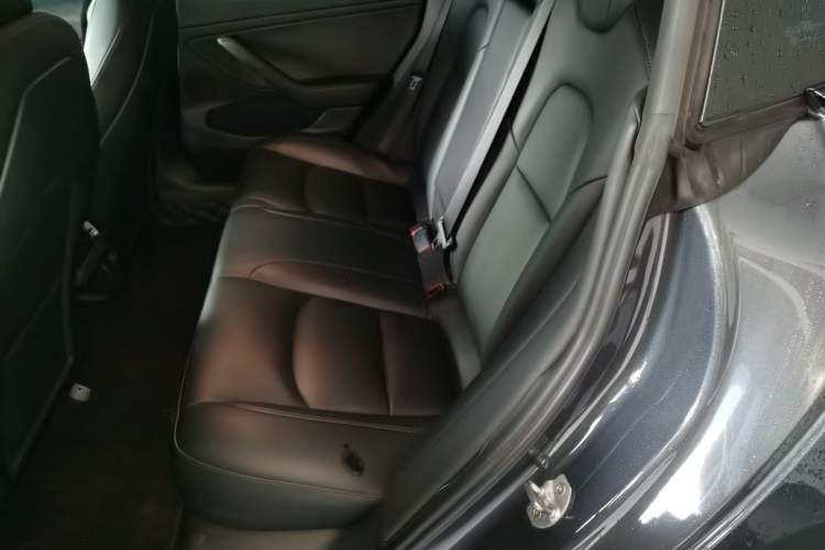 Used Tesla Model 3 2021 Standard Range Rear-Drive Upgraded Version