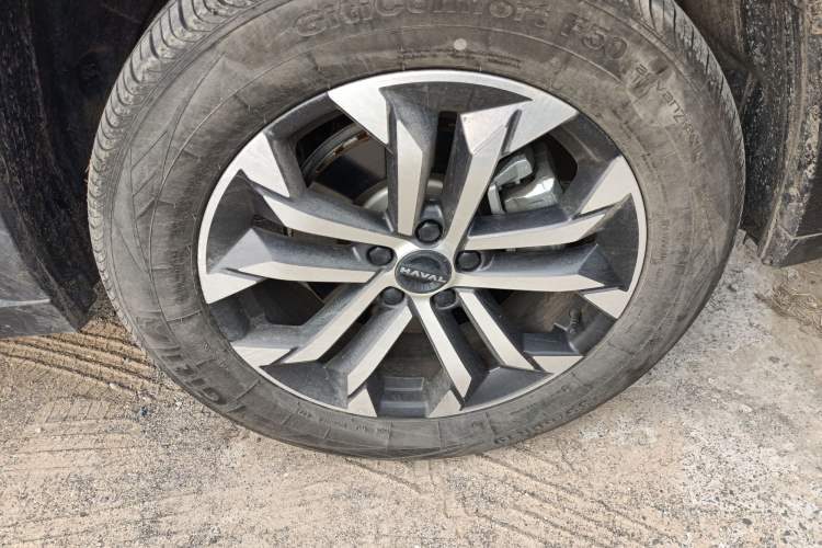 Used Haval H Dog 2023 1.5T Two-Wheel Drive Chao Ye Version Plus
