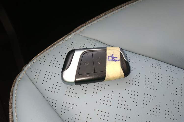 Used Chery Little Ant 2022 Sweet Pink Edition Half-Sugar Version Lithium Iron Phosphate 29.2 kWh 30 kW 301 km