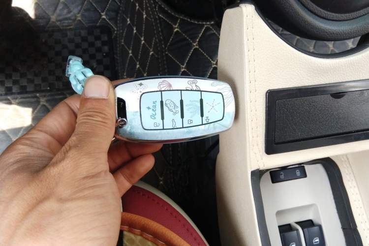 Used ORA Black Cat 2021 351 km Luxury Version Vehicle Key