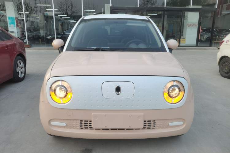 Used ORA Black Cat 2022 301km Base Version Ternary Lithium Front