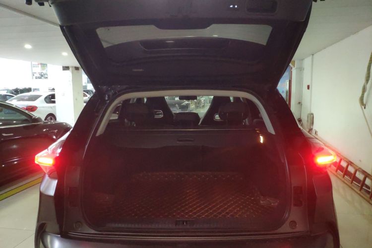 Used NETA U 2021 Pro 500 Lunar Edition Trunk