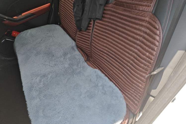 Used Leopaard CS9 2017 1.5L CVT Elite Model Left Rear Seat