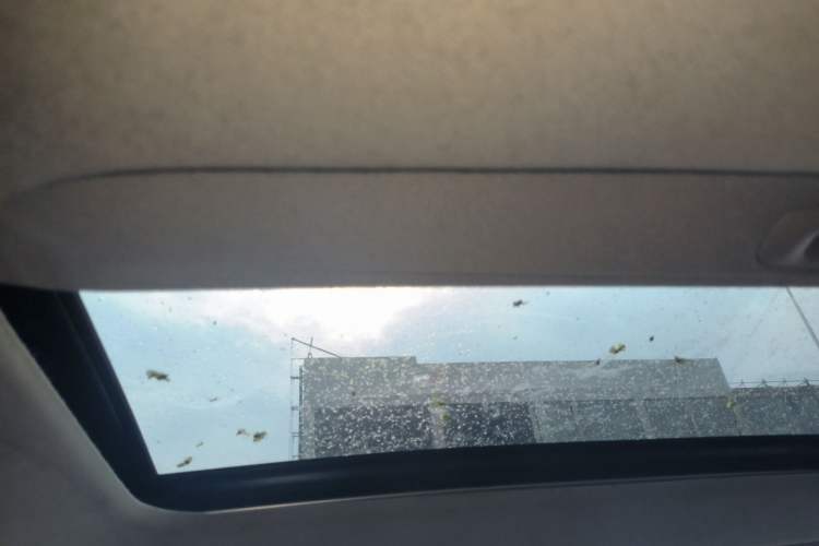 Used Kia K2 2017 Sedan 1.4L Automatic Transmission 15th Anniversary Special Edition GLS
