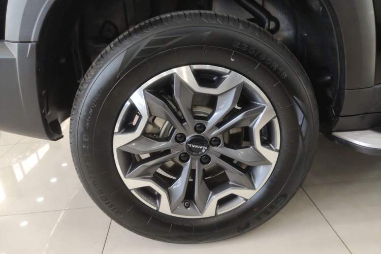 Used Haval DARGO 2024 2.0T DCT Chinese Rural Dog Edition
