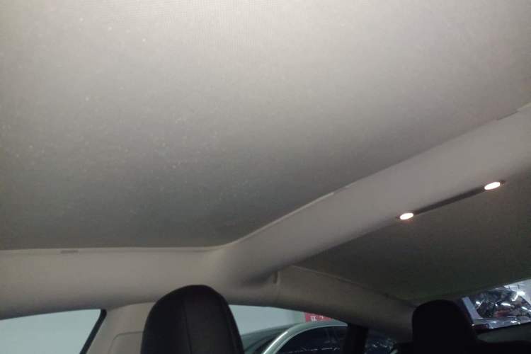 Used Tesla Model 3 2022 Rear-Wheel-Drive Version Headliner