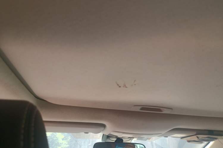 Used Toyota Corolla 2021 Dual-Motor 1.8L E-CVT Elite Edition Headliner