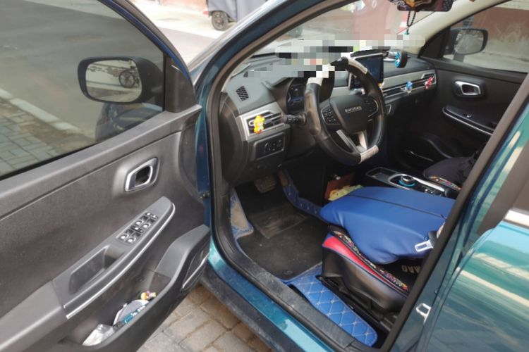 Used Dayun Yuehu 2021 32.85 kWh Two-Wheel-Drive Sprite Version
