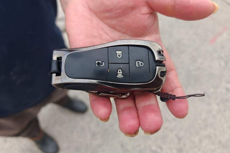 Used BAIC Off-Road BJ40 2023 2.0T Automatic Four-Wheel Drive Urban Hunter Edition Chivalrous Type