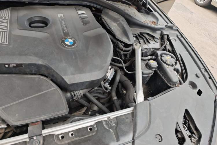 Used BMW 5 Series 2018 Revised Version 530Li Leading Edition Luxury Package
