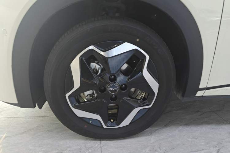 Used BYD Dolphin 2025 Smart Drive Version 420 km Freedom Edition