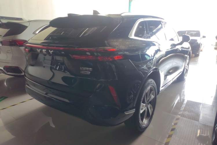 Used Wey Mocha New Energy 2023 Two-Wheel Drive Long-Range Version Rear Right 45 Deg