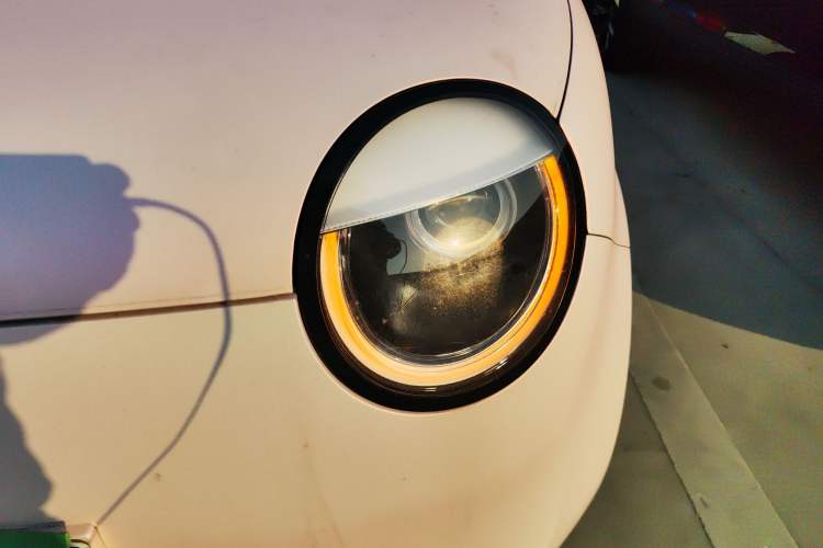 Used Qiyuan Lumin 2023 205km Xiangqin Version
