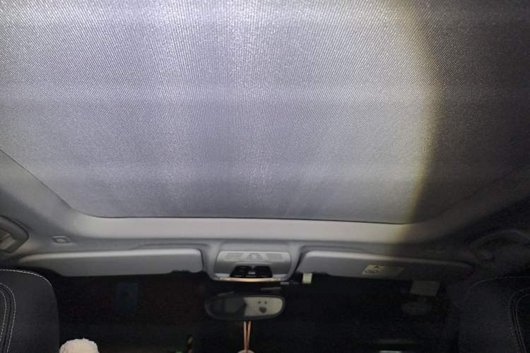 Used BMW X1 2019 xDrive20Li Luxury Model Headliner