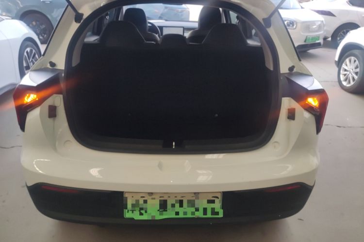 Used Geometry E Firefly 2023 320KM Cute & Handsome Tiger 5 Seats
