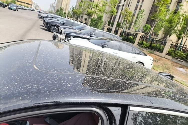 Used Hongqi H5 2024 1.5T DCT Smart Connect Flagship Edition
