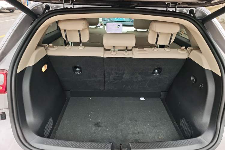 Used firefly firefly 2025 Illuminated Edition
