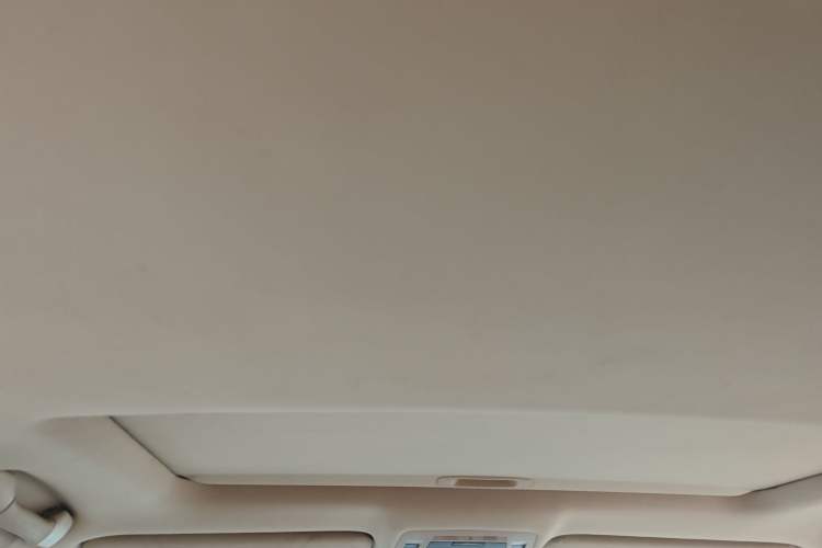 Used Lexus RX Classic 2013 270 Elite Edition Headliner