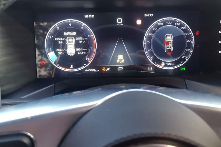 Used Tank 300 2022 2.0T Border Limited Edition