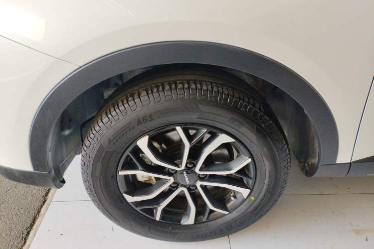 Used Haval H6 2023 National Trend Edition 1.5T Automatic Urban Version
