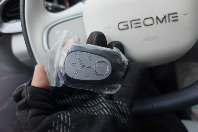 Used Geely Galaxy Geome 2025 310km Youth Edition