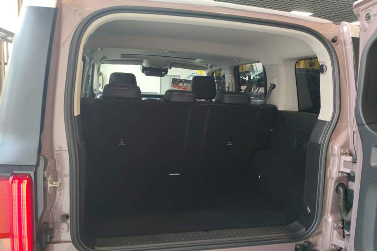 Used Tank 300 2023 City Edition 2.0T—Stylish as Ever
