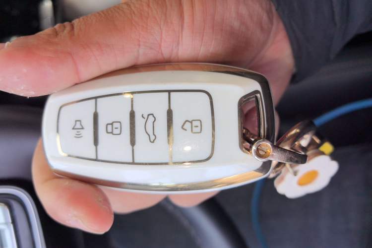 Used Haval DARGO 2024 1.5T DCT Border Collie Edition