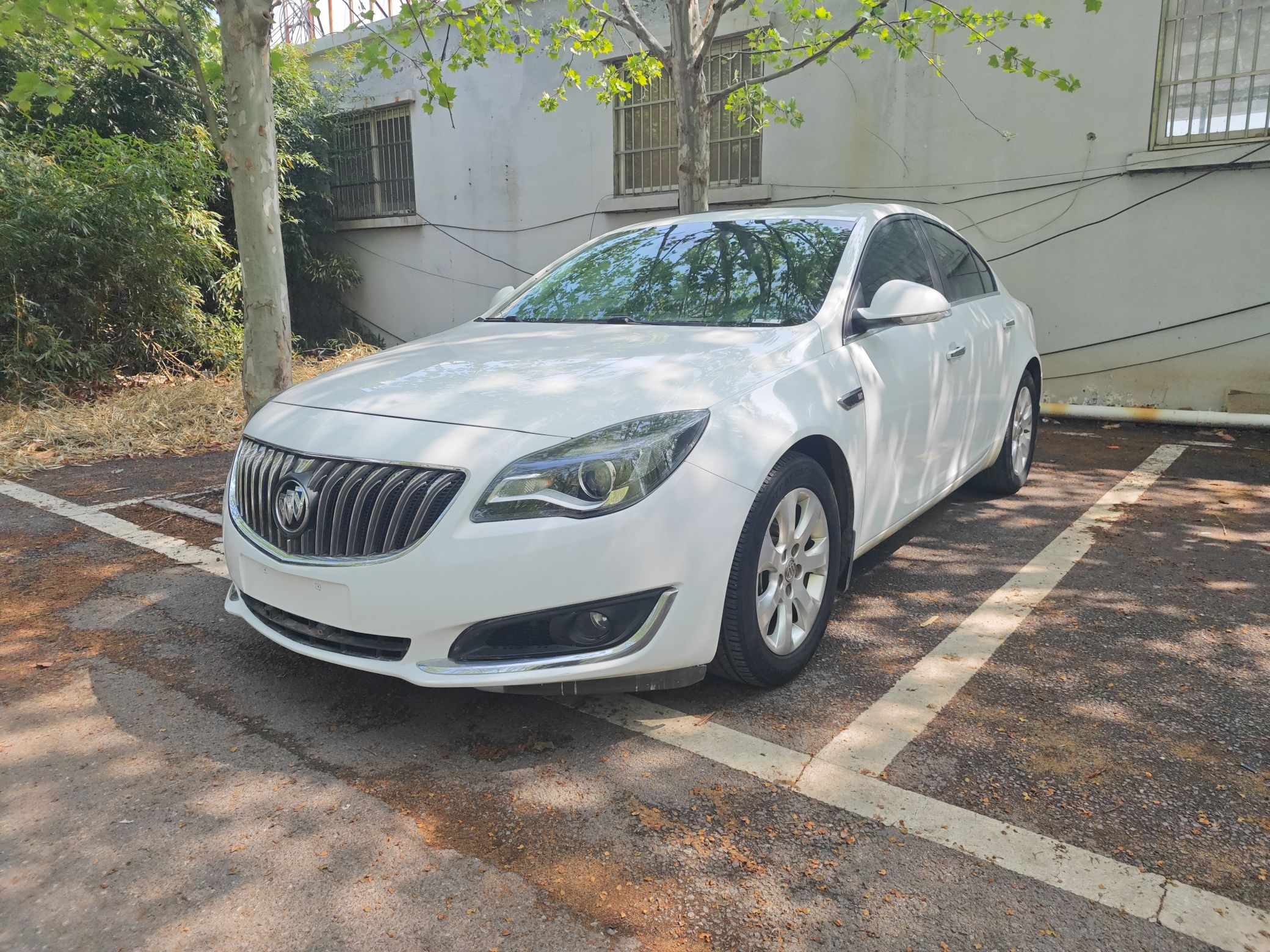 Parte inferior delantera