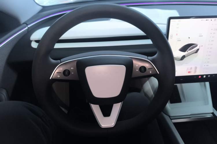 Used Tesla Model 3 2023 Rear-Wheel-Drive Version