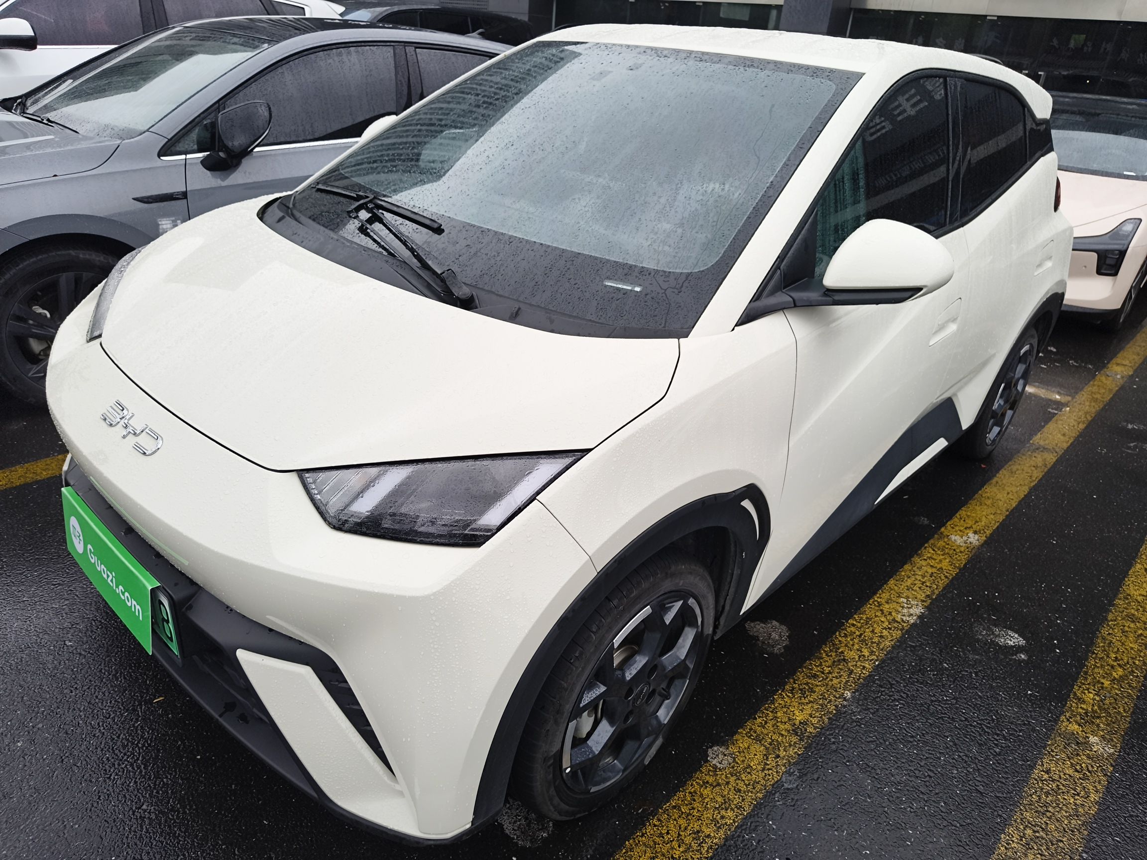 Parte inferior delantera