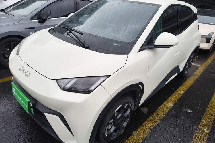 Used BYD Seagull 2025 305 km Free Version