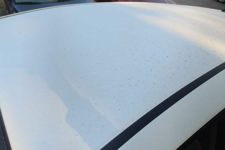 Used Honda Fit 2018 1.5L CVT Trendy Sports Edition