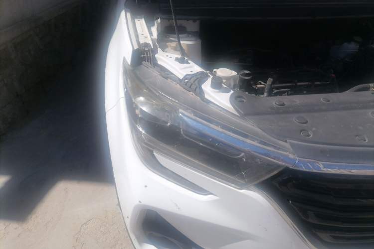 Used FORTHING T5 2020 1.6L Manual Comfort Model China VI Standard