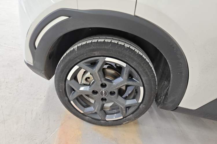 Used BYD Seagull 2025 405 km Flying Edition
